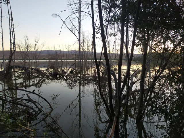 Turístico del Mamut Park