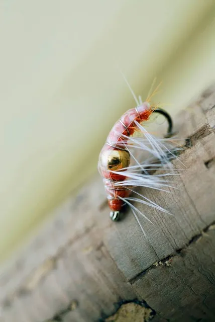 Sangjokam County Park