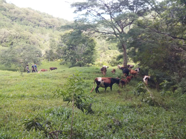 Parque Geoturistico El limo Y Hostal El Limo