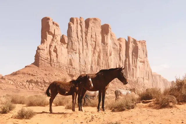 Wild Horses Monument