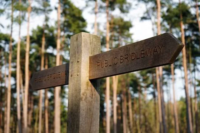 Park Linowy LemurPark