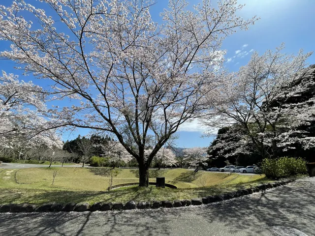 Country Park HOIHOI Hiroba