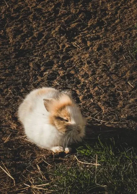 El Chapulín Ecological Park