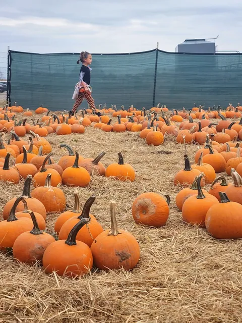 Oklahoma Heritage Farm