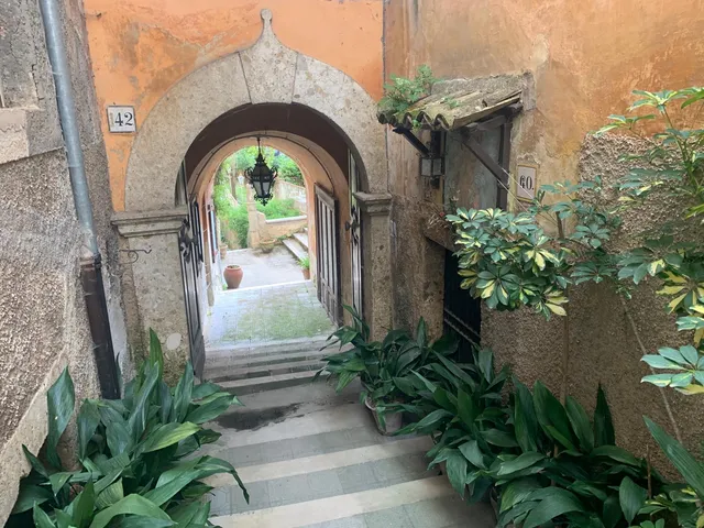 Museo della Liuteria