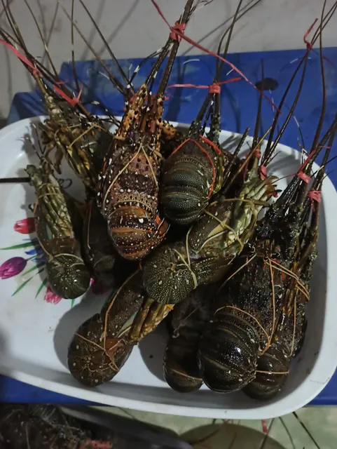 Loui Lobster (aneka seafood)