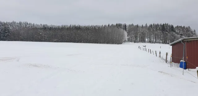 photo-2