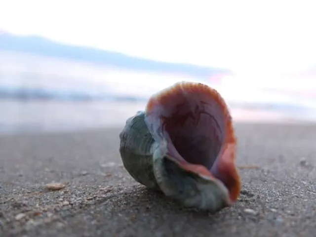 Porto da Rua Beach - Ecological Route Miracles