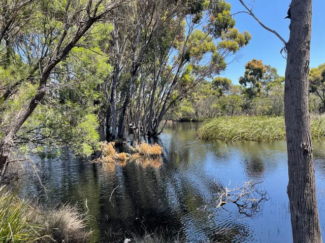 Ocean Grove Nature Reserve