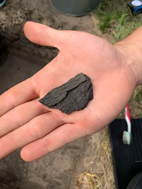 Bodo Archaeological Society