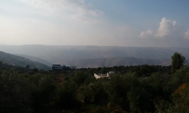 photo-3