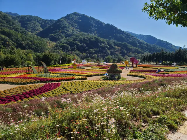 Inje Autumn flowers Festival