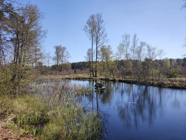 Feenteiche im Büsenbachtal