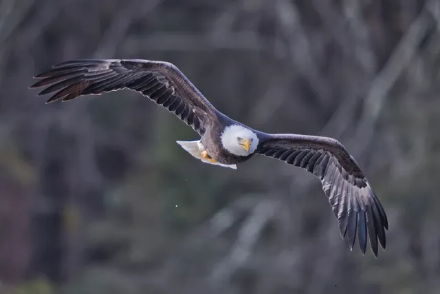 Sullivan Catskills Visitors Association