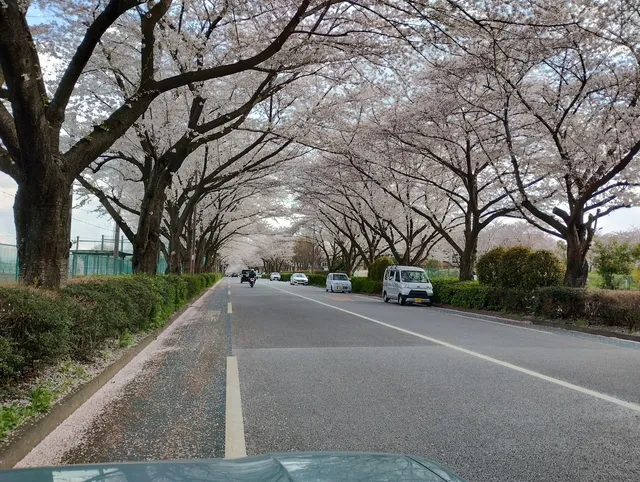 Chofu Base-site Athletic Fields