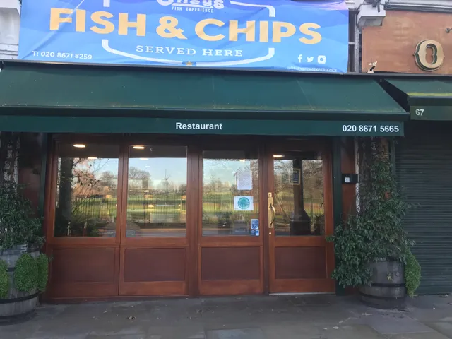 Olley's Fish and Chips Experience
