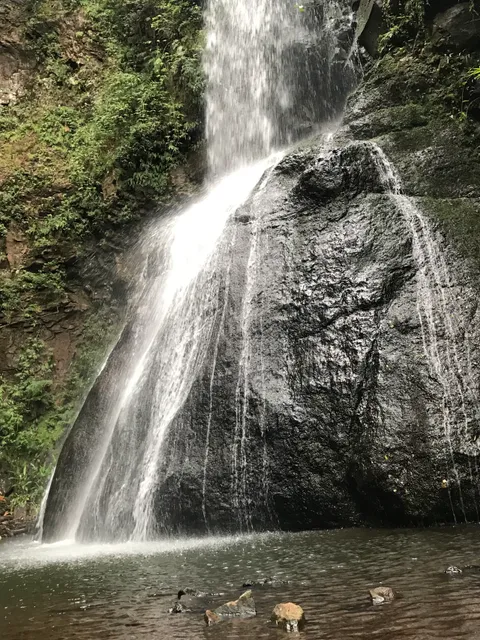 Flor do Vale - Alambique e Parque Ecológico