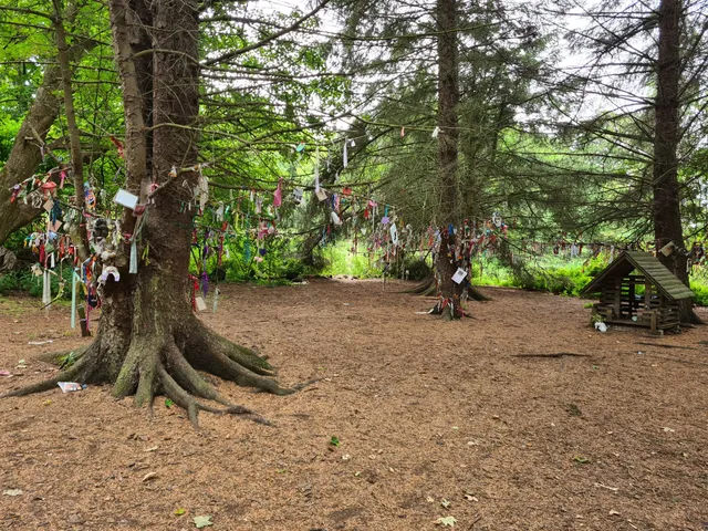 Fullarton Fairy Trail