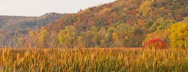 Whitewater Valley Railroad