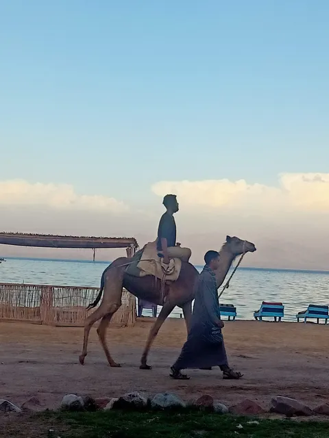 Tarabin Beach شاطئ الترابين