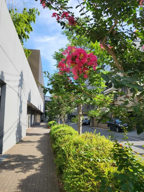 The Roppongi Tokyo Club Residence