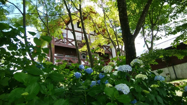 フォレスト倶楽部 田園