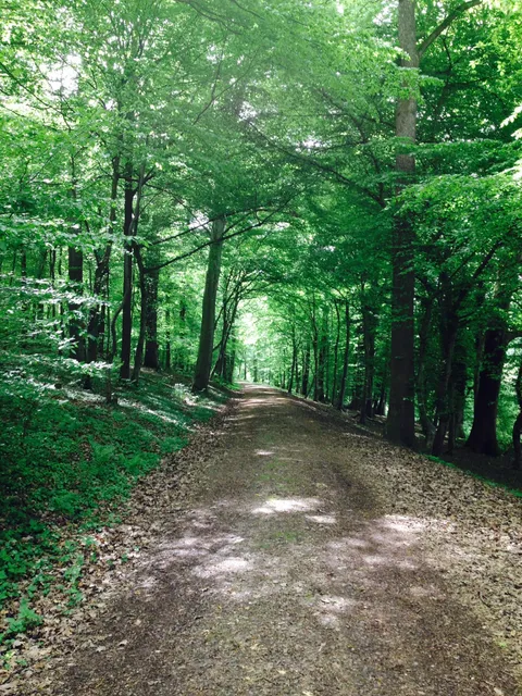 Schwarzwald Domizil Uhlsberg