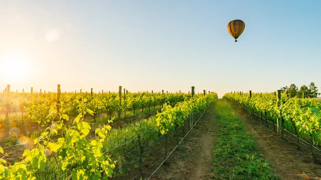 Balloon Aloft Hunter Valley