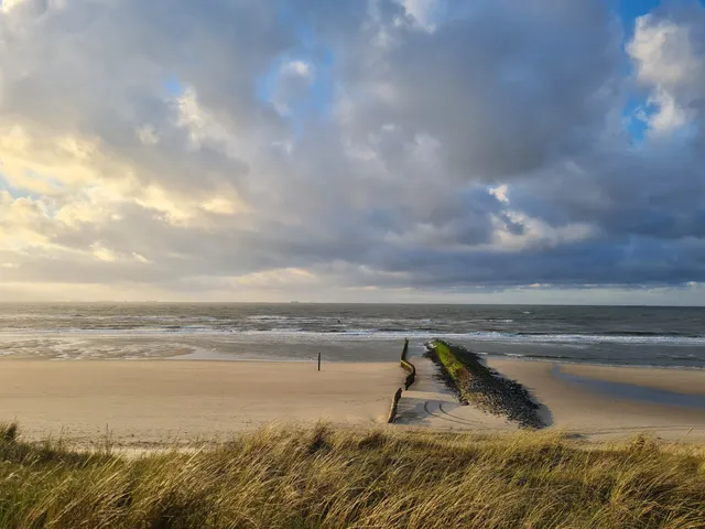 Seawater adventure oasis