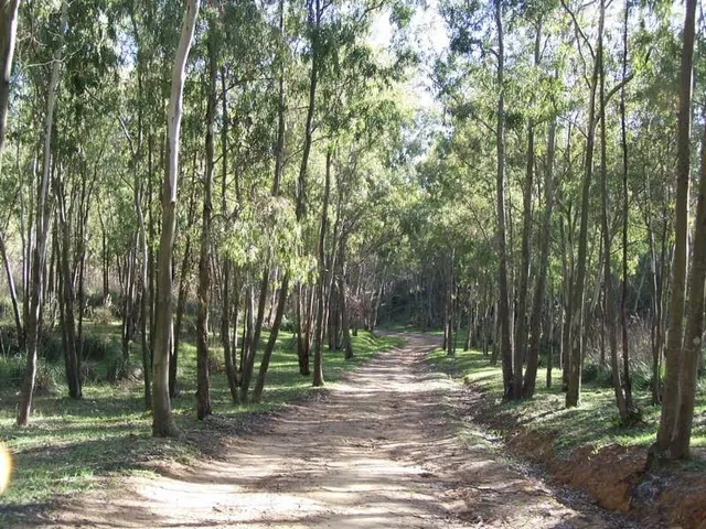 San Michele di Ganzaria