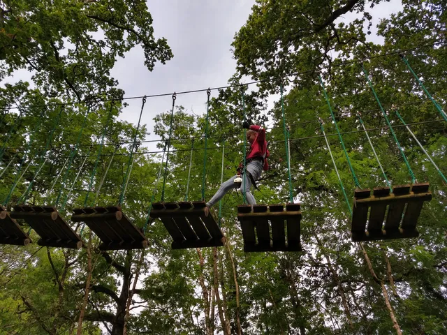 Zipit Forest Adventures