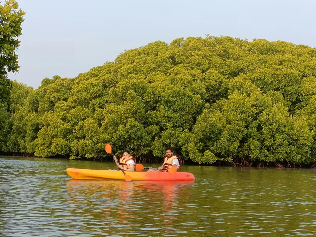 Mangrove Kayaking and Adventures Saligrama