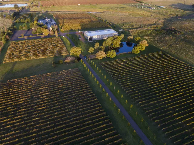 Witchmount Cellar Door & Winery