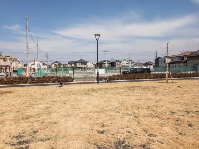 photo-2