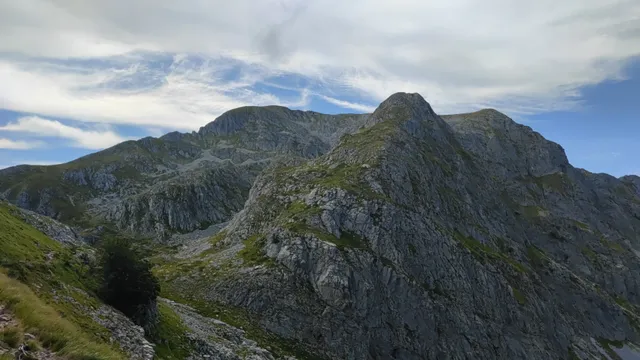 Piglionico molazzana