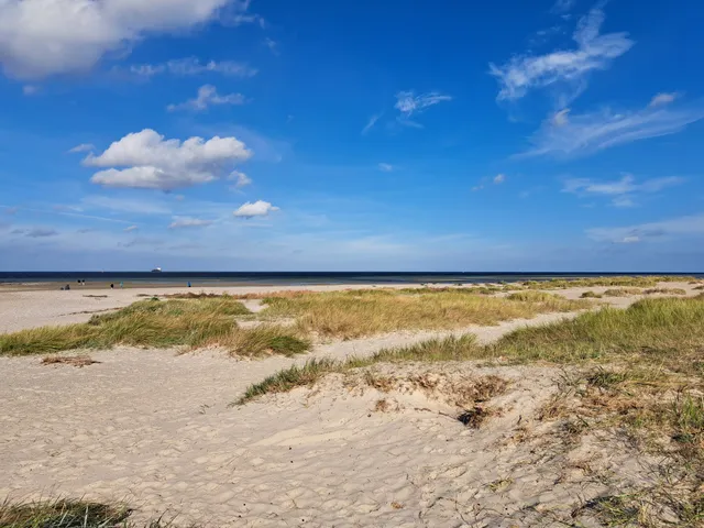 Naturerlebnisraum "Dünenlandschaft Laboe"