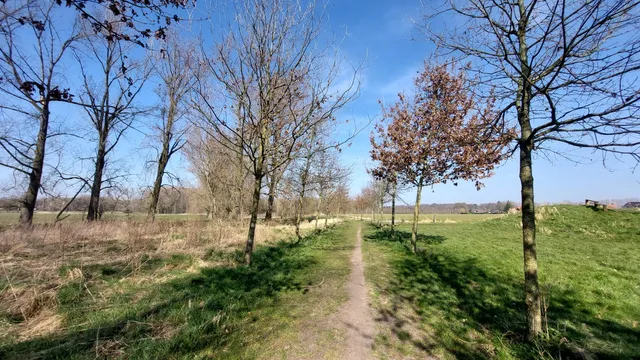 Kampveld