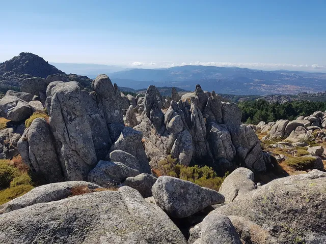 photo-1