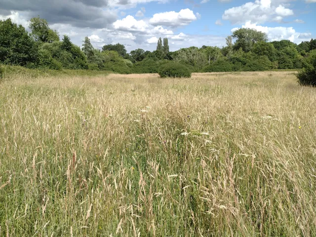 Totteridge Fields - London Wildlife Trust Nature Reserve