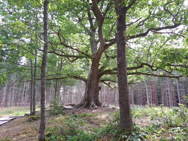 Paavola Nature Trail