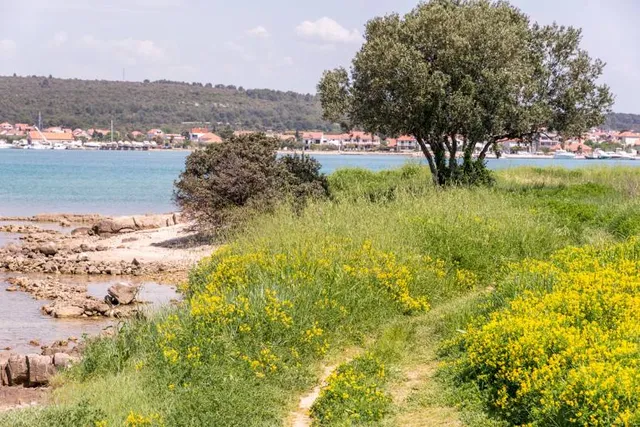 Beach Children's Paradise