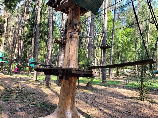 Adventure in Pineta Park