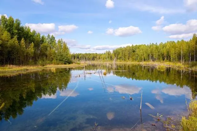 National Park Russkiy sever