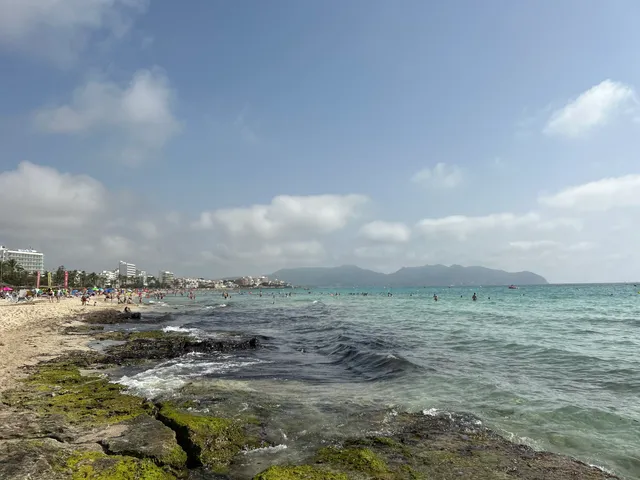 Sea Fusion Watersports