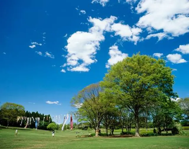 photo-2