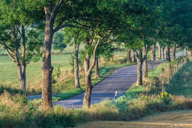 Natural Vincheto Celarda Reserve