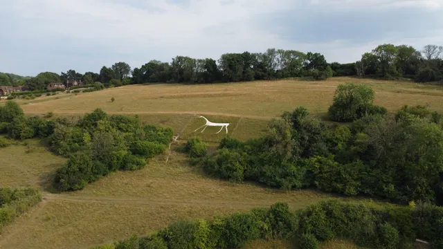 Marlborough White Horse