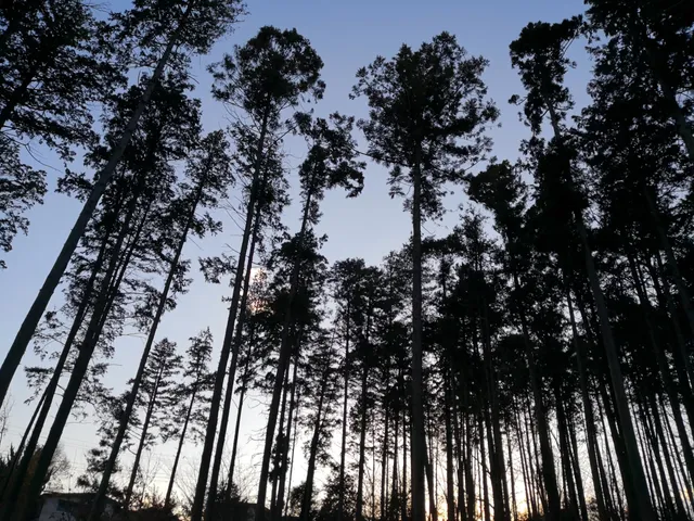 Shikimidai Fureai Park