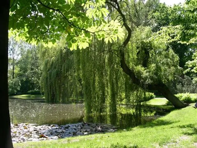 Parc botanique de la Tour Vieille