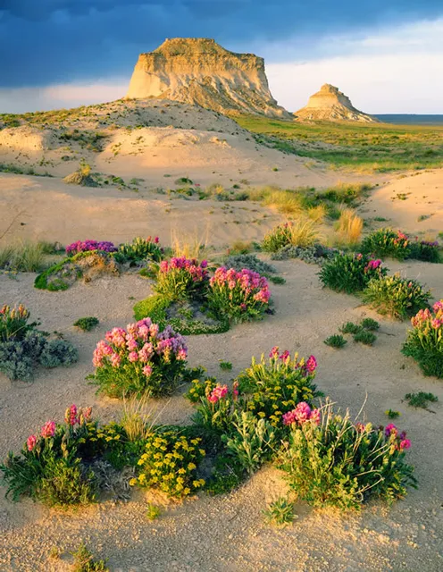Pawnee National Grassland
